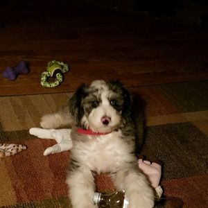 Meet your Posher, Jana